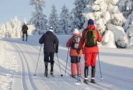 Ski Poles Aluminum Tubes